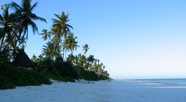 Tourisme et découvertes à Zanzibar
