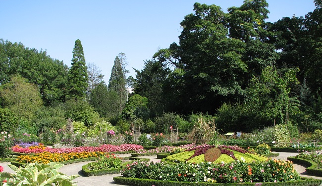 Jardin à Lyon