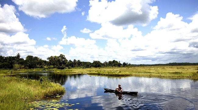Les marais de Kaw pour visiter la Guyane en kayak © DR