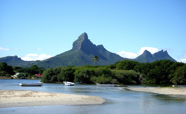 Nature luxuriante de l'île Maurice