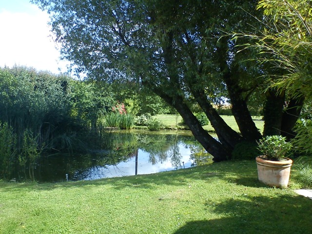 Un petit étang dans le jardin