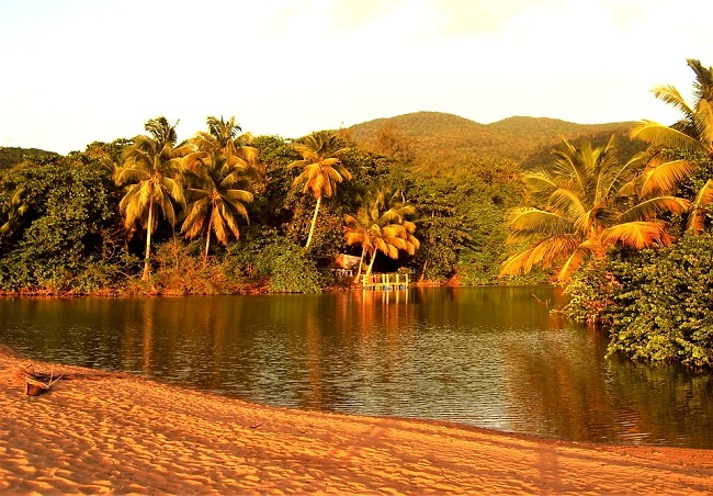 Charme exotique de la Guadeloupe