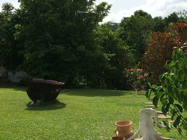 Jardin exotique en Martinique