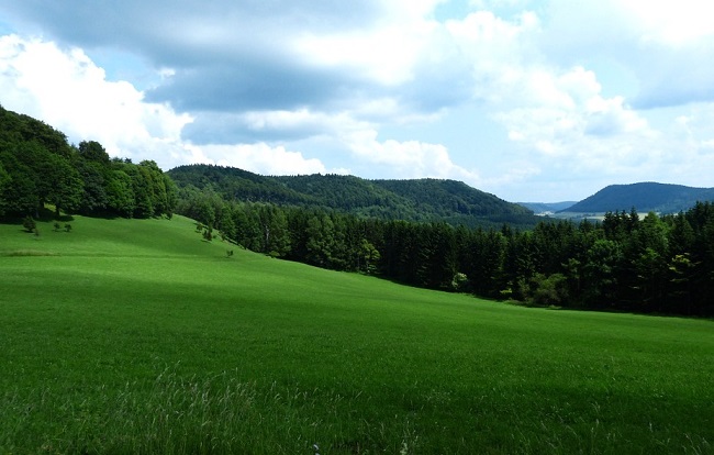 Paysage verdoyant en Franche Comté