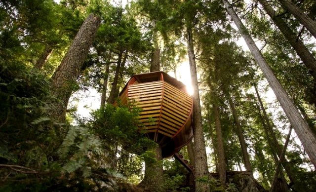 Petite maison dans la forêt ©Joel Allen