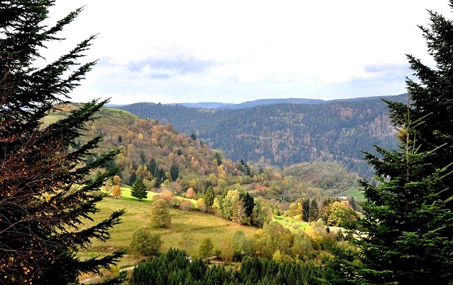 Parc naturel des Vosges en automne