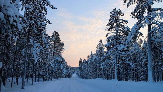 Vacances de Noël en Laponie