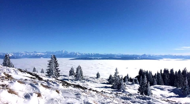 Offrez vous une vue imprenable sur les Alpes et le Mont Blanc en pratiquant le ski nordique dans le Jura