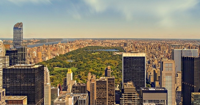 Balade dans Central Park, l'une des meilleures activités à faire à New-York