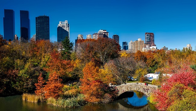 Central Park en automne