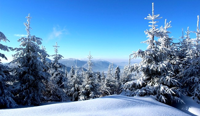Des vacances à la neige dans les Vosges