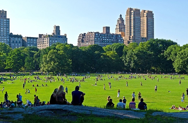 Petite pause à Central Park pendant vos vacances à New York