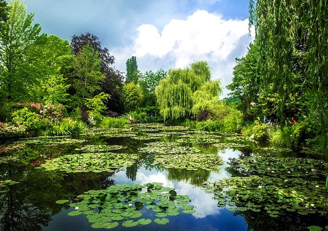 Jardin de Monet à Giverny © DR