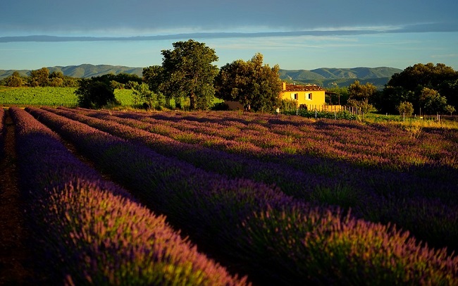 Paysage de Provence à la tombée de la nuit