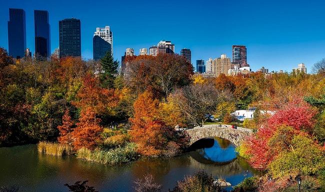 Central Park à l'automne