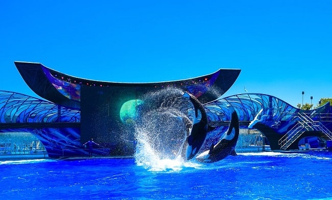 SeaWorld Orlando, parc à thèmes situé près d'Orlando, en Floride