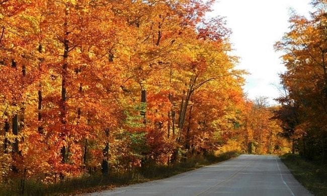 Couleurs d'automne au bord du lac Michigan