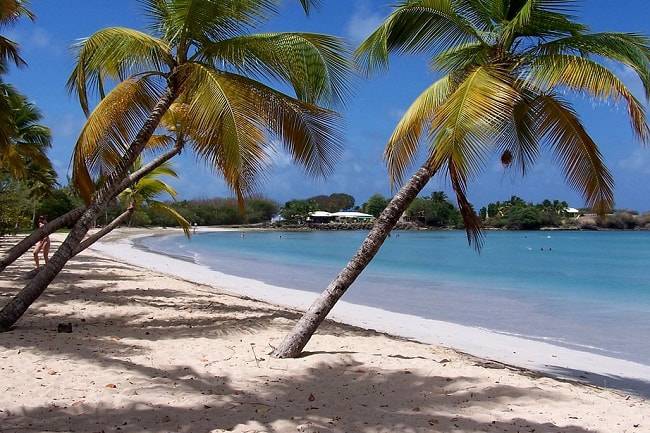 Plage paradisiaque à la Martinique
