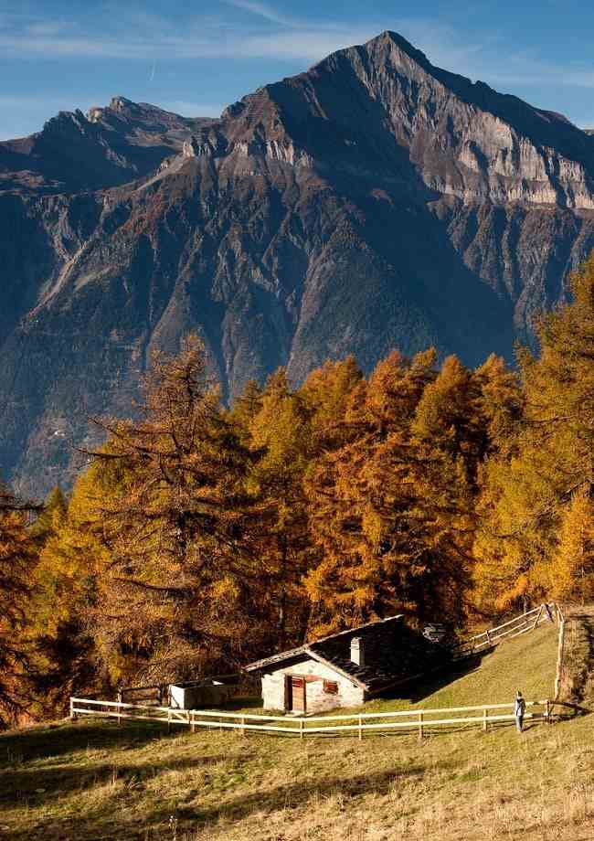 Paysage typique du canton du Valais en Suisse