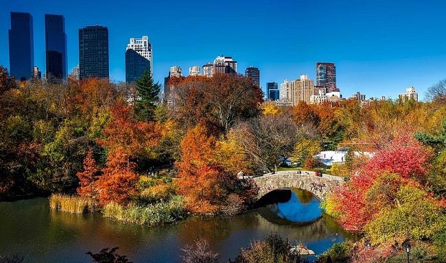 Découverte de Central Park en automne