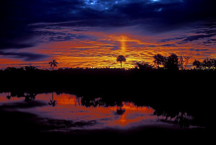 Lever de soleil dans parc national des Everglades en Floride
