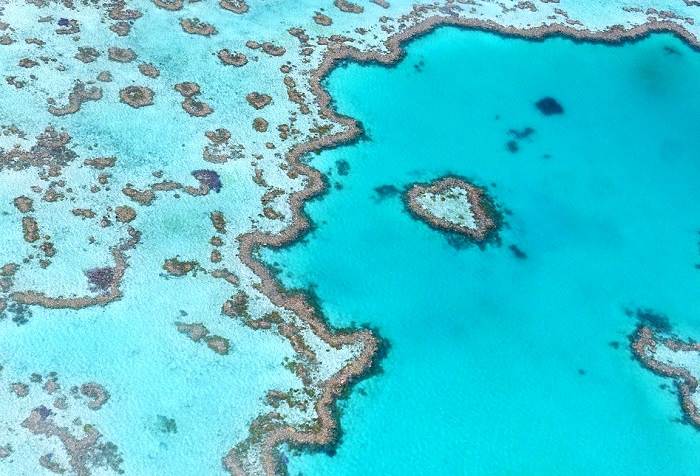 Découvrez la Grande Barrière de Corail pendant votre voyage en Australie