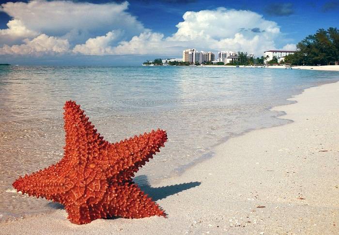 Profitez de votre location de vacances aux Bahamas pour vous relaxer au milieu de paysages paradisiaques