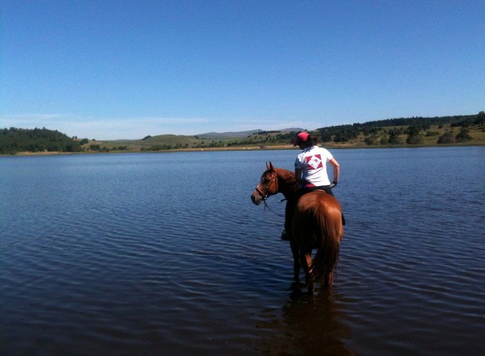 Découverte du Lac du pêcher lors d'une randonnée à cheval dans le Cantal