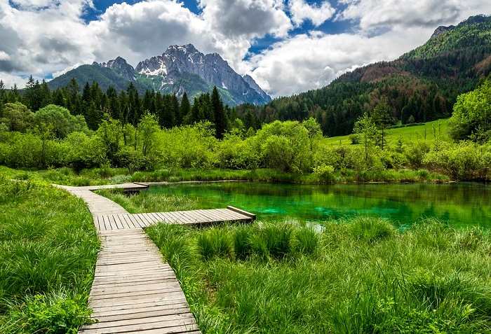 Partez à la découverte de la réserve naturelle de Zelenci près de la ville de Kranjska Gora, à l'extrême nord-ouest de la Slovénie