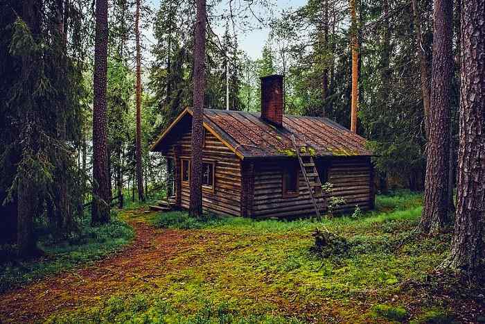 Optez pour une cabane en rondins au cœur de la nature pour votre location entre particuliers en Finlande