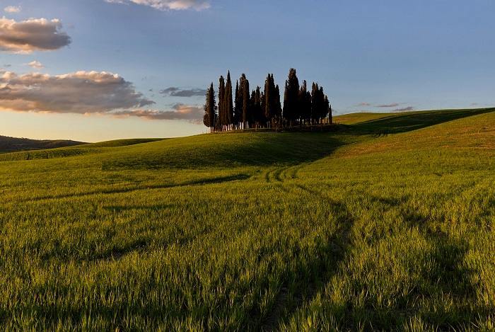 Balade à travers champs en Toscane