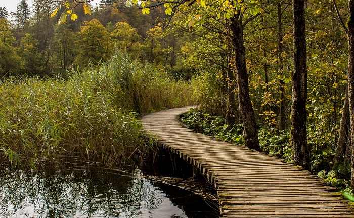 Optez pour une balade au bord du lac de Plitvice en Croatie pendant l'automne
