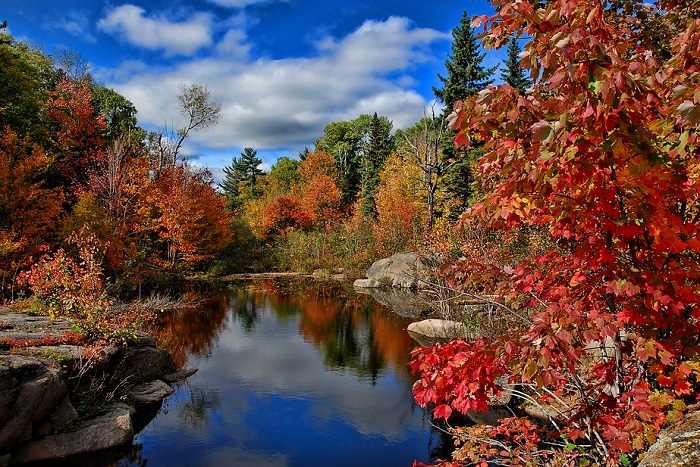 Optez pour une location de vacances au Nouveau-Brunswick en automne et profitez des magnifiques couleurs de la nature