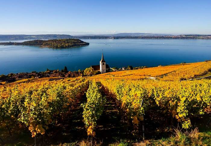 Partez à la découverte de Gléresse, au bord du lac de Bienne, un des meilleurs vignobles à visiter en Suisse