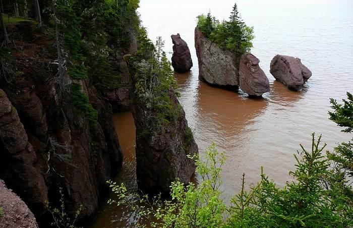 Partez à la découverte du parc provincial Hopewell Rocks,, un parc provincial du Nouveau-Brunswick