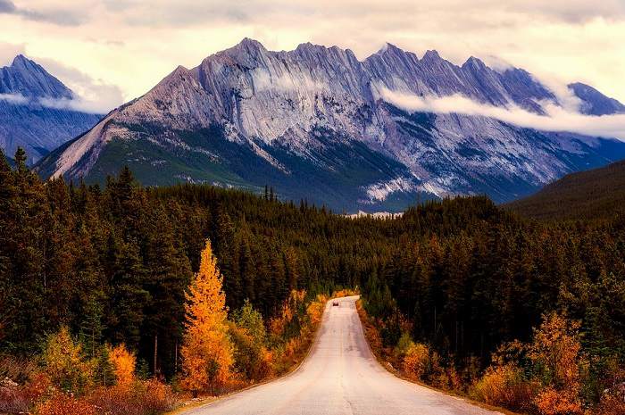 Partez sur les routes du Canada pendant l'automne
