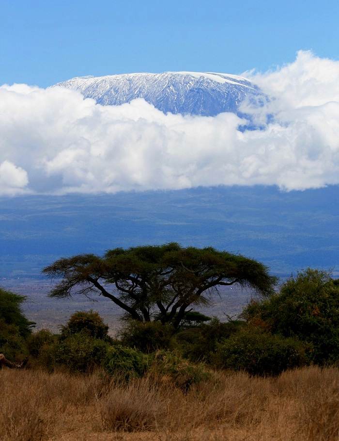 Le Kilimandjaro 