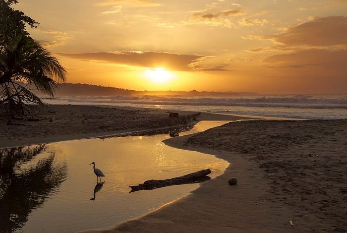 Optez pour des vacances au Costa Rica et admirez ses magnifiques couchers de soleil