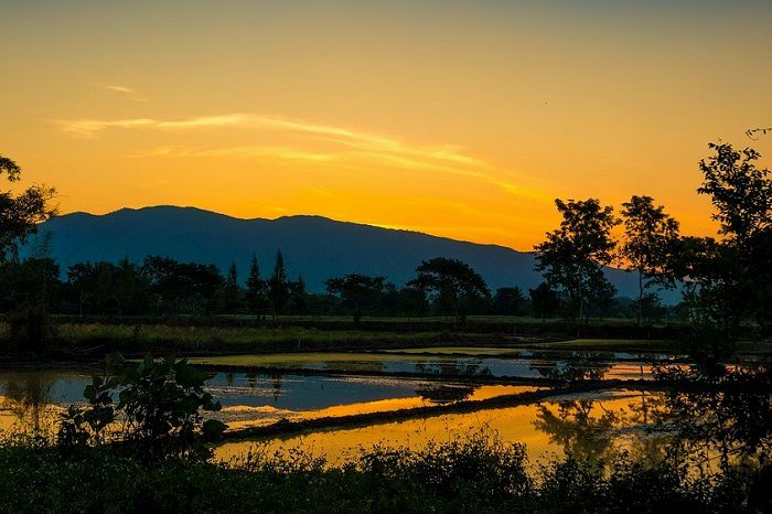 Magnifique coucher de soleil sur les rizières à proximité de Chiang Maï