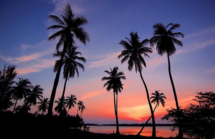 Optez pour une balade au bord de l'eau à la tombée de la nuit lors de votre voyage au Sri Lanka