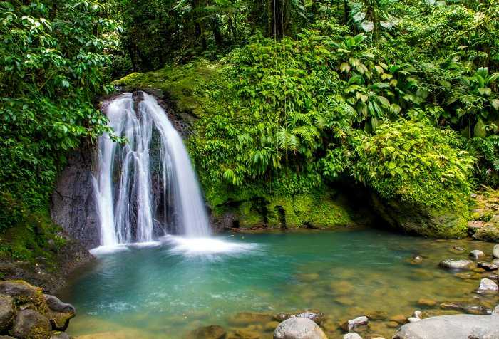 Partez à la découverte de la cascade aux écrevisses pendant vos vacances en Guadeloupe
