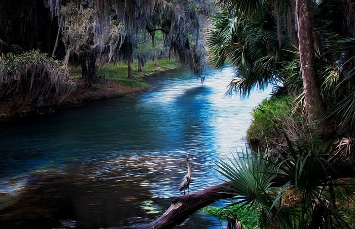 Aventurez vous dans les Everglades lors de votre voyage en Floride