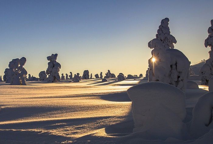Balade au cœur de la nature en Laponie