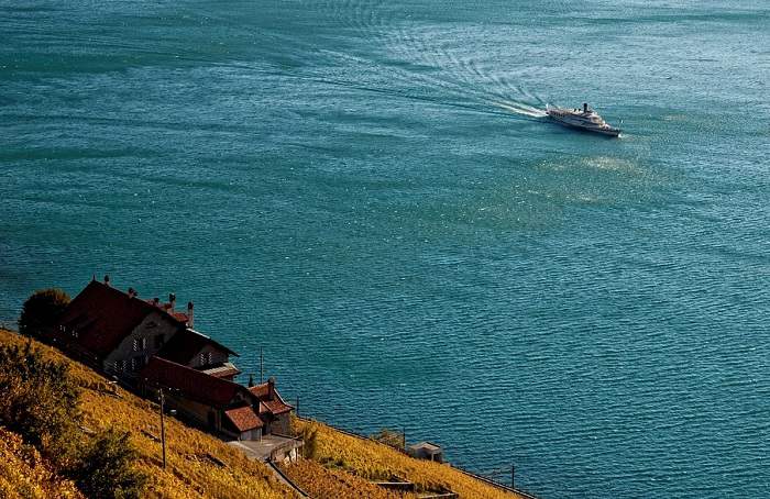 Profitez des magnifiques panoramas en vous promenant dans les vignes au bord du lac Léman en Suisse