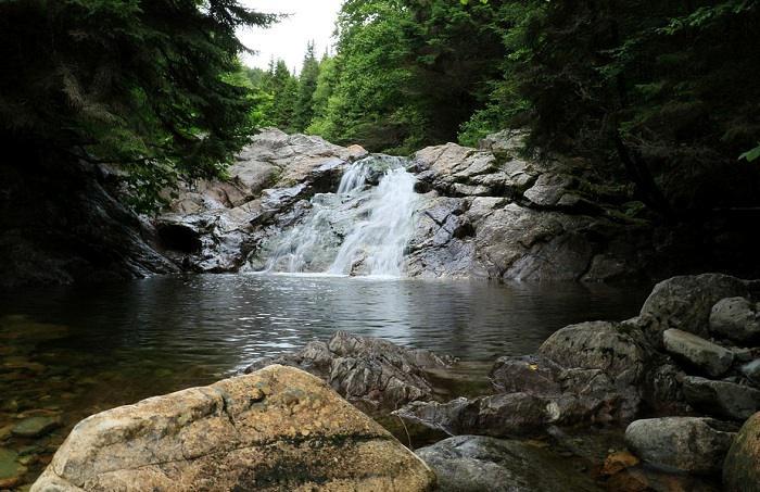 Offrez-vous une randonnée au cœur de la nature au Nouveau-Brunswick