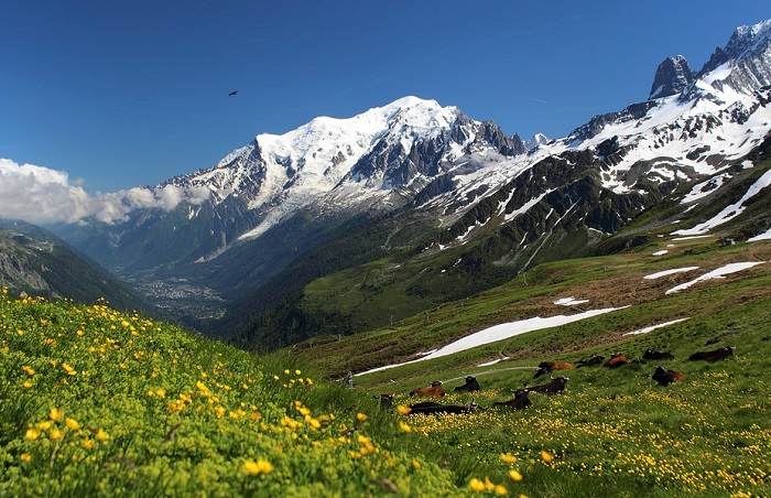 Si vous souhaitez voir un magnifique paysage de montagne, partez à l'assaut du Mont Blanc