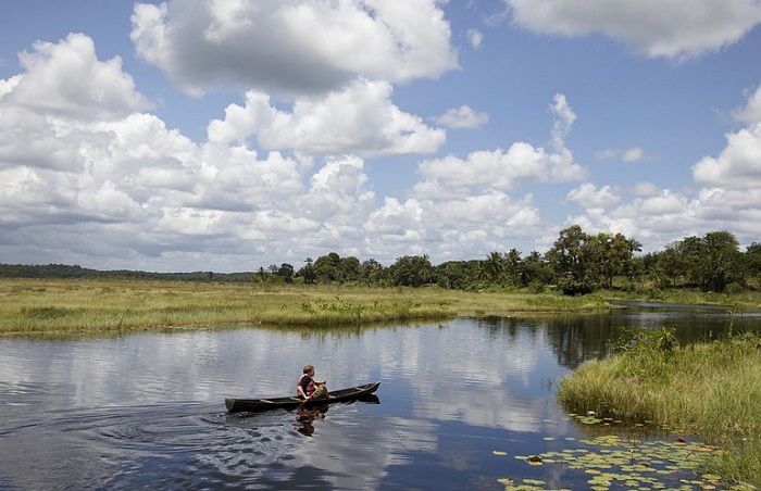 Découverte de la Guyane en empruntant ses rivières