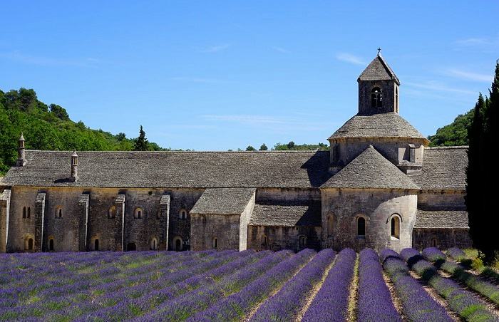 Partez à la découverte de l'Abbaye Notre-Dame de Sénanque lors de vos vacances dans le Luberon