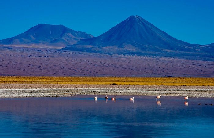 Offrez-vous une randonnée autour du Salar de Atacama