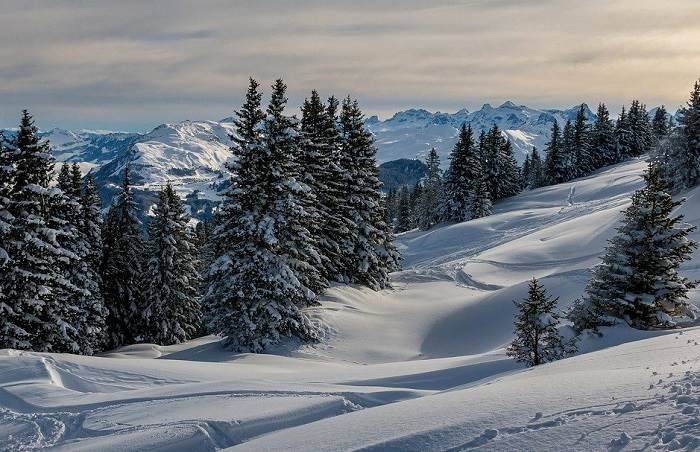 Optez pour des vacances au ski en Suisse et profitez d'un agréable moment en famille